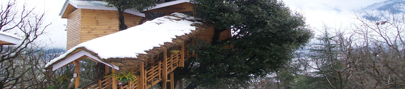 Himachal Resort and Cottages